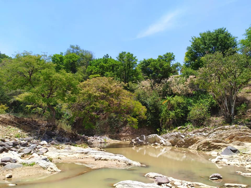 Galería 4