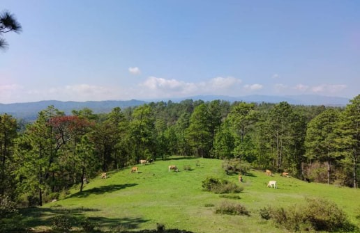 Paisaje 2